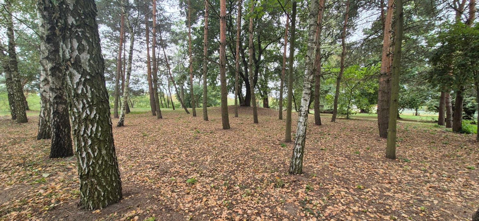 Kasztelania Pod Lipami Villa Zakroczym Kültér fotó