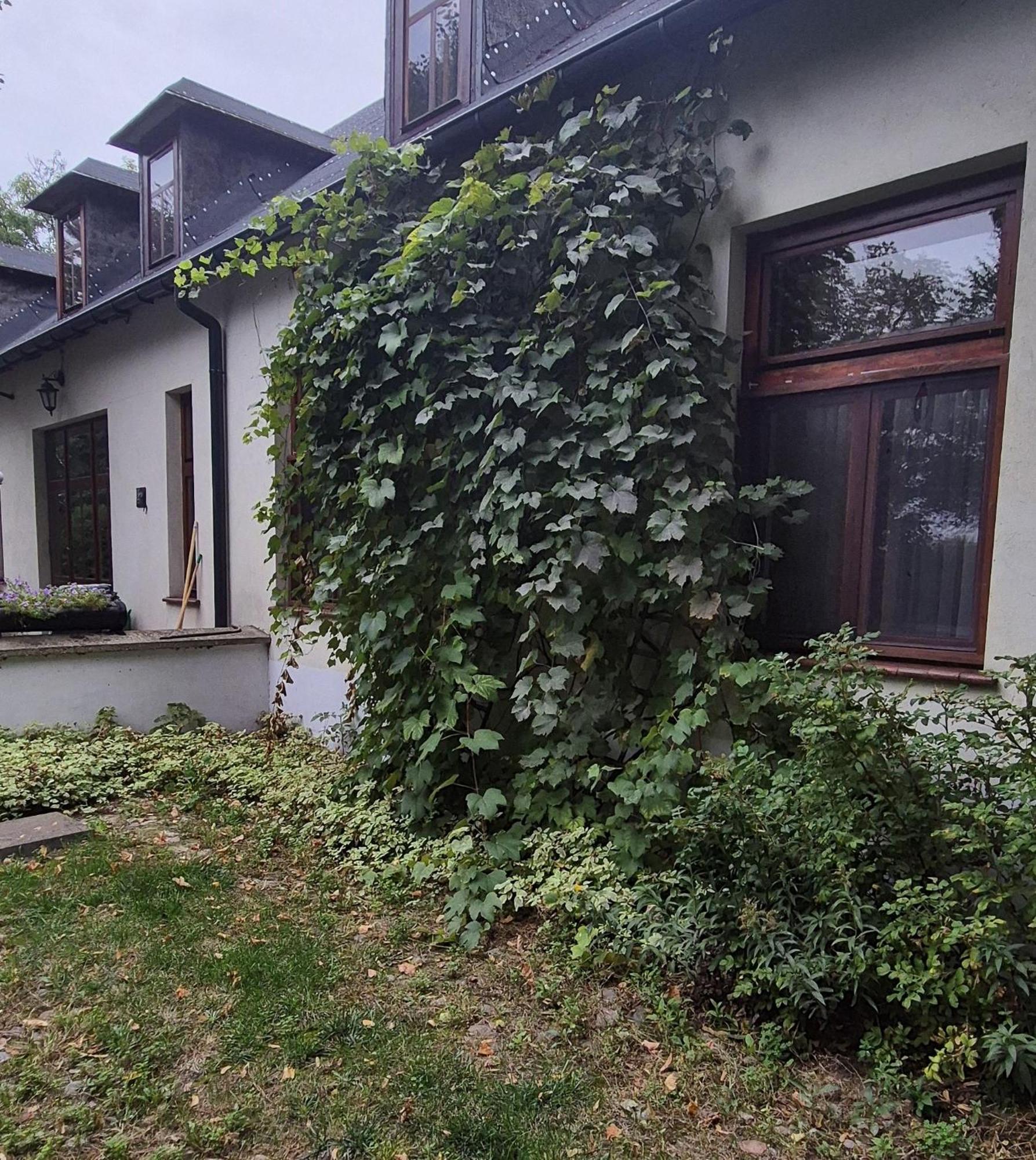 Kasztelania Pod Lipami Villa Zakroczym Kültér fotó